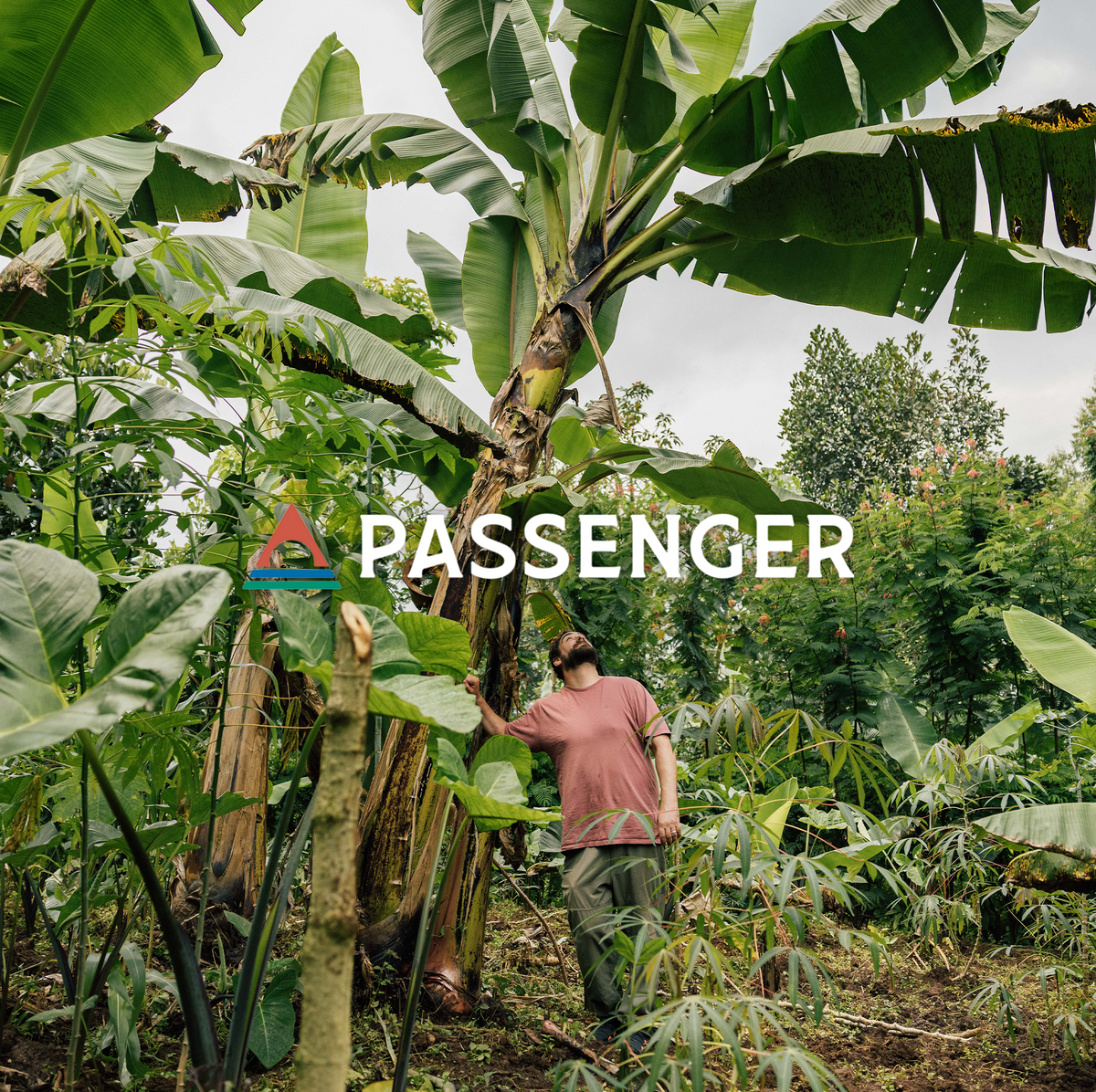 Passenger Plant & Protect