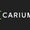 Cariuma Skate Shoes & Footwear