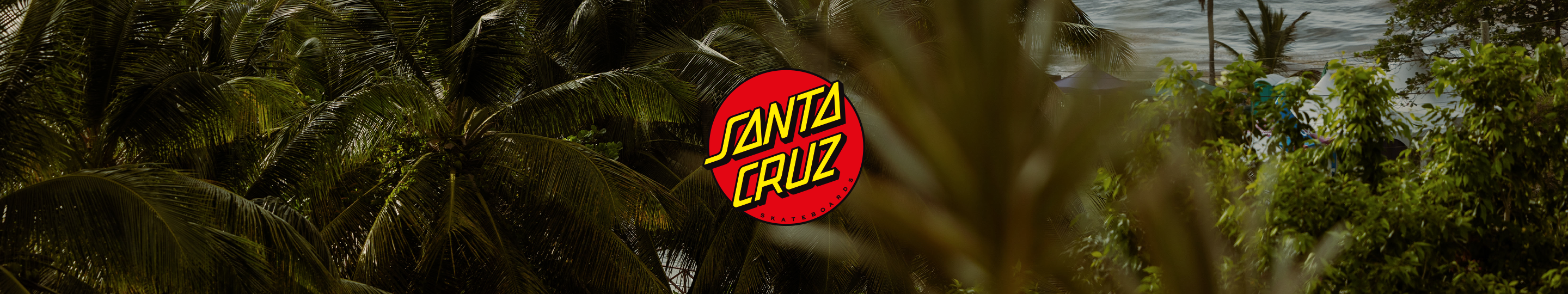 Santa Cruz Summer Sale