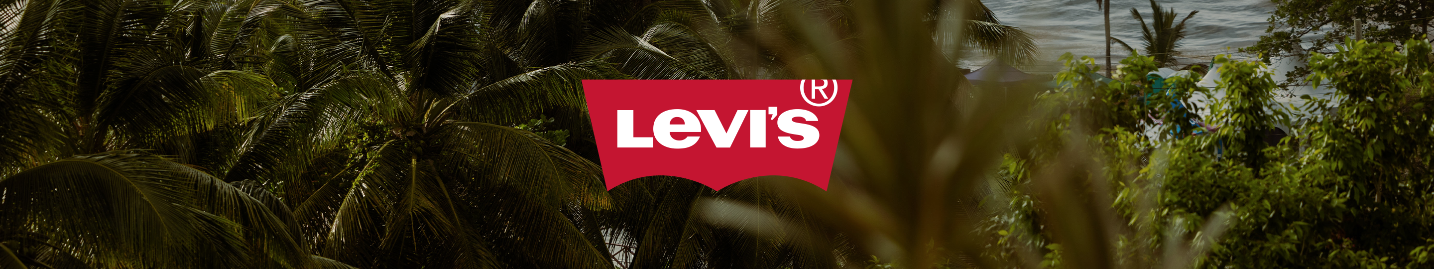Levi's Summer Sale