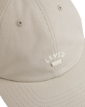 Lazy Girl Logo Cap in Chateau Gray