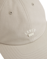 Lazy Girl Logo Cap in Chateau Gray