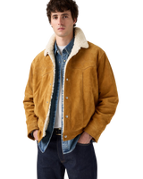 Western Suede Sherpa Jacket in Evening Sun Trucker
