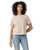 The Levi's® Womens Graphic Vintage T-Shirt in Corded Script Logo Chateau Gray