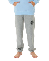 Boys Icons Of Surf Joggers in Grey Marle