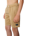 The Rip Curl Boys Boys Epic Volley Shorts 2.0 in Khaki