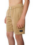 The Rip Curl Boys Boys Epic Volley Shorts 2.0 in Khaki
