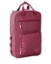 Svelte 13L Transient Backpack in Plum