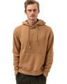 Worn Path Hoodie in Brown