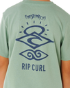 Boys Search Icon T-Shirt in Aloe