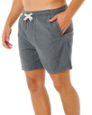 Pacific Rinse Rico Volley Shorts in Moss