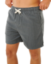 Pacific Rinse Rico Volley Shorts in Moss