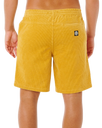 Premium Surf Cord Volley Shorts in Golden Hour