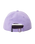 Mixed 6 Panel Cap in Purple
