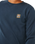 The Rip Curl Mens Pacific Rinse Patch Sweatshirt in Dark Navy