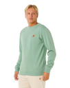 Pacific Rinse Patch Sweatshirt in Aloe