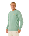 Pacific Rinse Patch Sweatshirt in Aloe