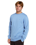 Classic Surf Sweatshirt in Faded Denim