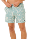 Sessions Volley Shorts in Aloe
