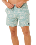 Sessions Volley Shorts in Aloe
