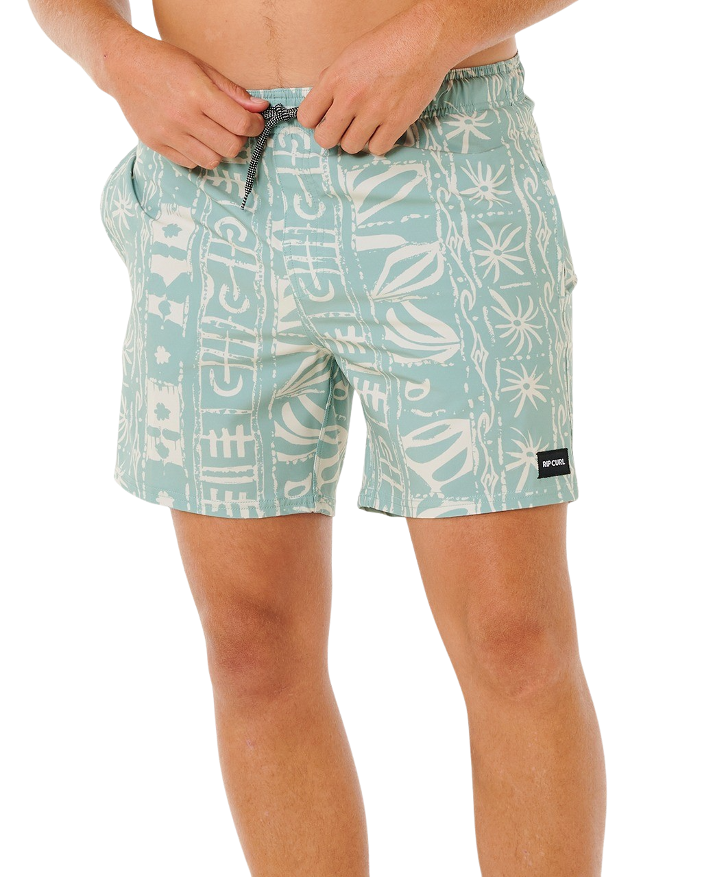 Sessions Volley Shorts in Aloe