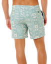 Sessions Volley Shorts in Aloe