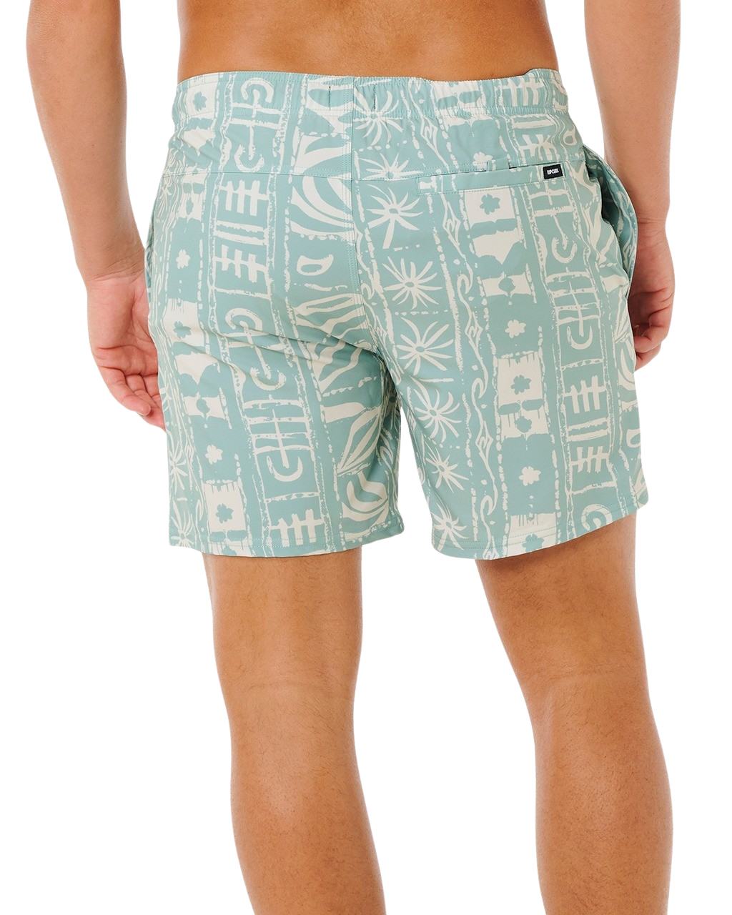 Sessions Volley Shorts in Aloe
