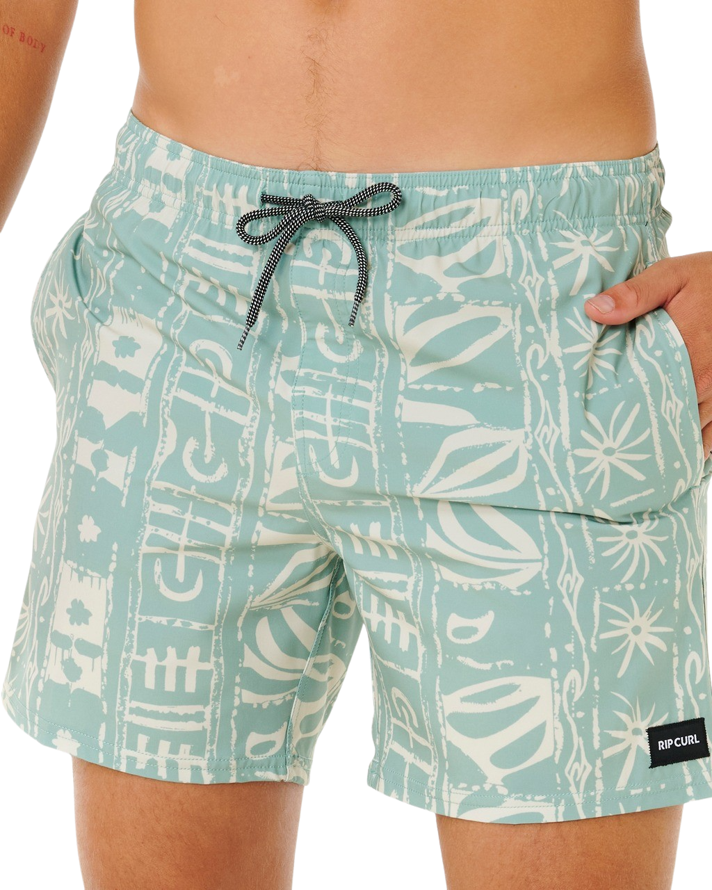 Sessions Volley Shorts in Aloe