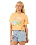 The Rip Curl Womens La Paloma Crop T-Shirt in Pastel Orange