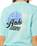The Rip Curl Womens Aloha Heritage T-shirt in Light Sea Blue