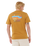 The Rip Curl Mens Surf Revival Lined Up T-Shirt in Bronze