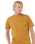 The Rip Curl Mens Surf Revival Lined Up T-Shirt in Bronze