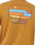 The Rip Curl Mens Surf Revival Lined Up T-Shirt in Bronze