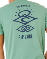 The Rip Curl Mens Search Icon T-Shirt in Aloe