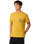 Search Icon T-Shirt in Mustard Gold