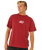 The Rip Curl Mens Inner Vision Spray T-Shirt in Merlot