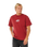 The Rip Curl Mens Inner Vision Spray T-Shirt in Merlot