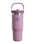 The Stanley Classic Iceflow Flip Straw Tumbler in Lilac