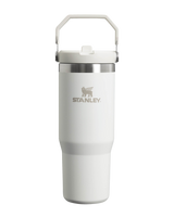 The Stanley Classic Iceflow Flip Straw Tumbler in Frost