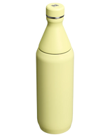 The Stanley All Day Slim 0.6L Bottle in Pomelo Gloss