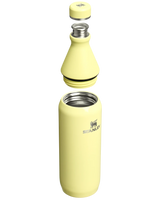The Stanley All Day Slim 0.6L Bottle in Pomelo Gloss