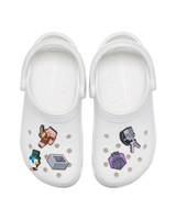 The Crocs Minecraft Jibbitz (5 Pack) in Assorted