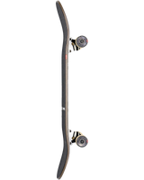 The Globe G2 Ramones Album Series 31