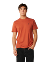 The Rip Curl Mens Streamline Embroidered T‑Shirt in Baked Clay