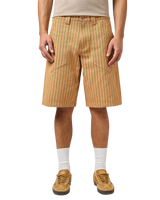 Casey Jones Porkchop Walkshorts in Orange Stripe