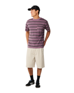 The Rip Curl Mens Disorder Stripe T-Shirt in Dusty Purple
