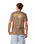 The Rip Curl Mens S-Series VC Peaks T-Shirt in Walnut