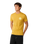 Wettie Passage Icon T-Shirt in Mustard Gold
