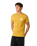Wettie Passage Icon T-Shirt in Mustard Gold