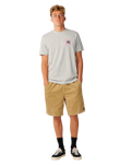 The Rip Curl Mens Line Up T-Shirt in Grey Marle